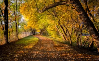 Effort To Gather Stories Of Kids Canal Continues