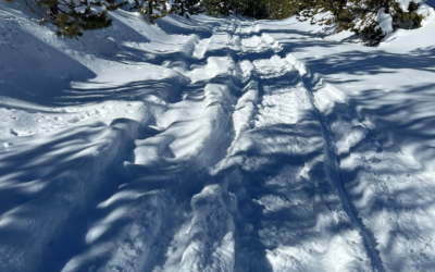 Ashley National Forest: Ski Trails Are For Non-Motorized Activities Only