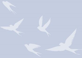 Where To Celebrate World Migratory Bird Day In Northeastern Utah