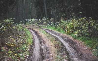 Roads closed Dinosaur National Monument