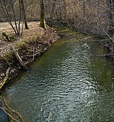 What’s Next In Effort To Protect Sustainability Of Colorado River Basin?