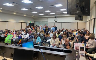 What Are Community Standards? Does ‘Drag Story Hour’ Violate Them?