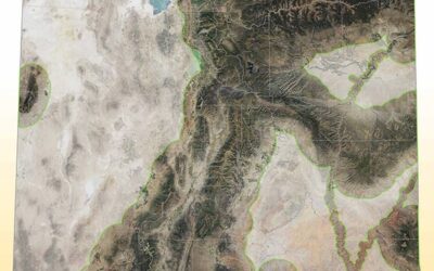 Preventing Conflicts With Black Bears