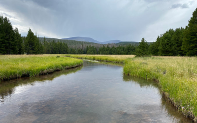 Water Treatments Scheduled For High Uintas To Help Restore Native Cutthroat 