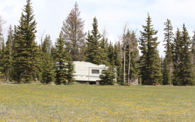 Ashley National Forest Reminds Public To Follow Camping Rules