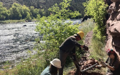 Great American Outdoors Act Funds Projects In Ashley National Forest