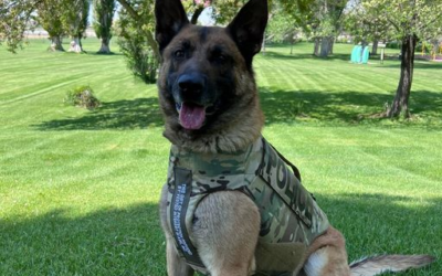 Rangely Police K9 Suited Up With Body Armor Thanks To Donation
