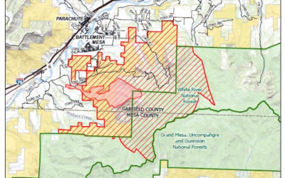 High Winds Cause Spread Of Spring Creek Fire
