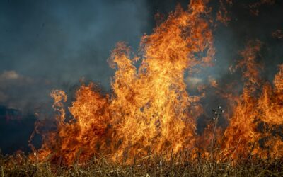 Uintah Basin Regulars Respond To Canadian Wildfires