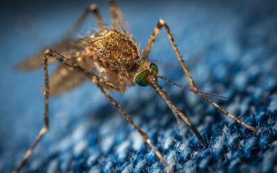 Uintah County Mosquito Abatement District Report