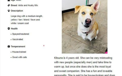 Roosevelt Animal Shelter Staying Busy And Welcoming Community’s Support