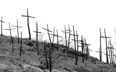 Five Don’ts to Prevent Wildfires