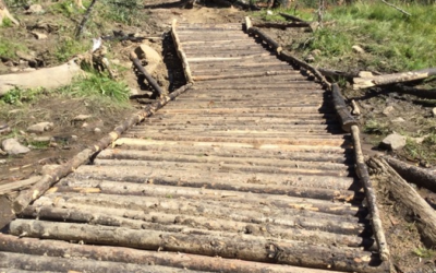 Ashley National Forest Project Improving Access To High Uintas Wilderness Area