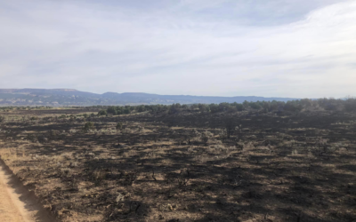 Deserado And Harvest Fires Reach Full Containment
