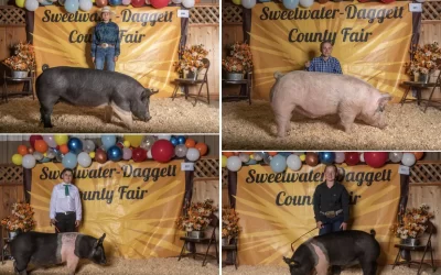 Wyoming’s Big Show 4-H/FFA Livestock Auction Receives Great Support