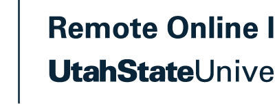 Rural Online Initiative Program at Vernal Innovation Hub