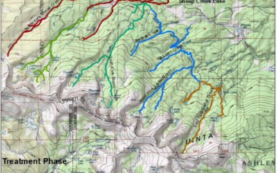 Rotenone Treatment And Closure Planned For South Fork Of Sheep Creek 