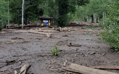 Debris Flows Close Moon Lake Campground And Rock Creek Road