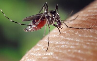 West Nile Virus In TriCounty Health District