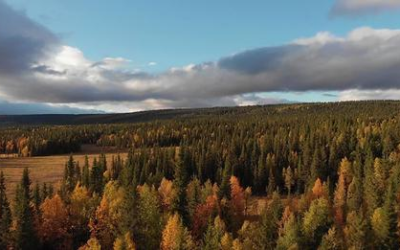 Applications for the FY 2024 Firewood Bank Grant Program Open