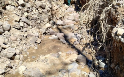 Lake Fork Trail And Brown Duck Trail Closed; Timber Canyon Road Opened 