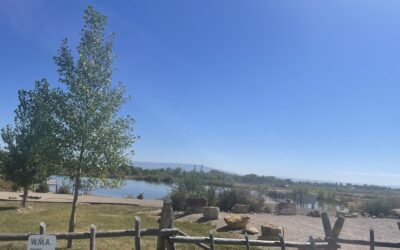 New Community Fishing Pond To Open In Roosevelt Next Year