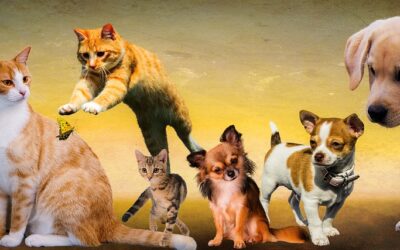 Roosevelt Animal Shelter Gives Report; Urges Public To Be Responsible