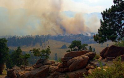 West Fork Duchesne Prescribed Fire Project Starts Today