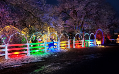 Local Family Invites All To Pierce’s Roosevelt Holiday Light Show