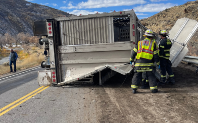Over 20 Cattle Killed In Moffat County Semi Rollover