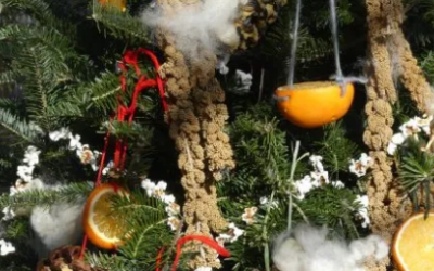 Christmas Tree Recycling Alternative Idea