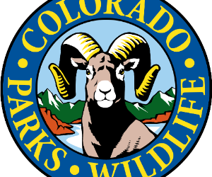 Agreement Reached For 15 More Wolves As Part Of Colorado Reintroduction