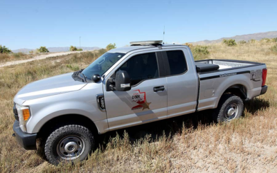 DWR: Prevent Conflicts With Mountain Lions This Summer