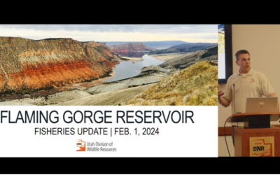 Recording Of Flaming Gorge Fishery Meeting Available To View