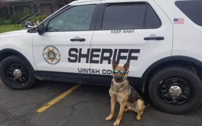 Retirement Announced For Uintah County Sheriff’s Office K9 Riddick