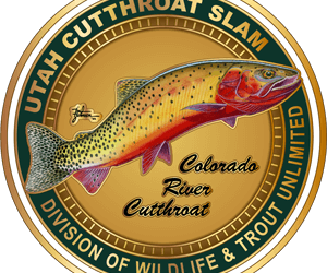 Cutthroat Slam Program Continues To Grow In Popularity