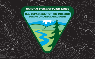 BLM Proposes Wild Horse Gather North Of Green River In Wyoming