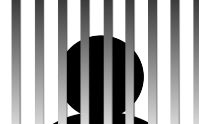 Woman Arrested For Harboring Fugitive