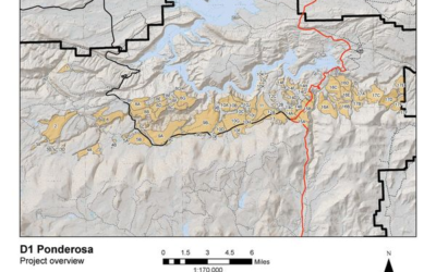 Prescribed Burns Planned On Flaming Gorge Ranger District