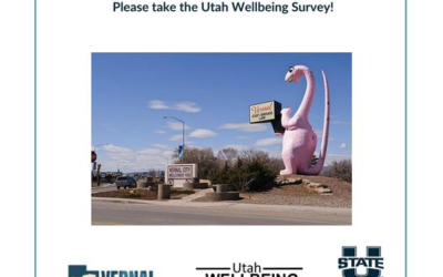 Your Voice Matters! Wellbeing Project Survey Available In English And Spanish