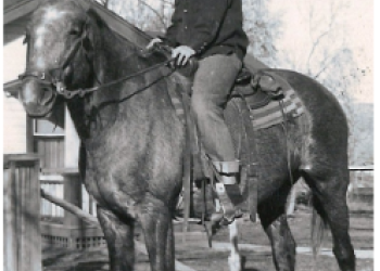 Lina Louise (Blaine) Taylor