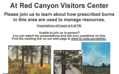 Ashley National Forest To Educate Public On Prescribed Burns During Meeting