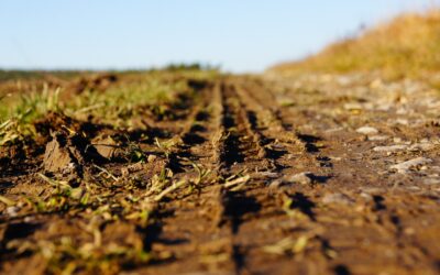 Two Arrested For Motorhome Theft