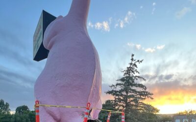Dinah The Pink Dinosaur Missing Tail After Being Hit By Vehicle