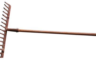 Garden Rake Fight Escalates To Arrest For Aggravated Assault