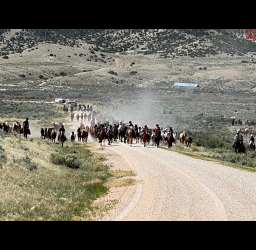 Successful Great American Horse Drive Over The Weekend In Moffat County