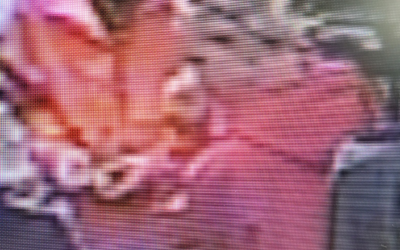 Public’s Help Requested In Case Of Shoplifting at the Big G on 40 Gas Station