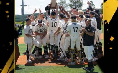 Union High School Baseball Team Crowned 3A State Champions