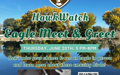 Hawkwatch International Participating In Roosevelt Nature Park Grand Opening