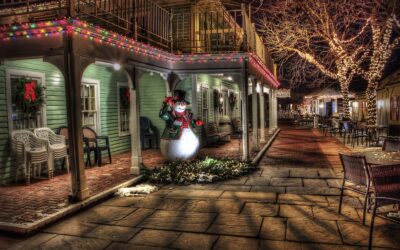 Local Holiday Lights